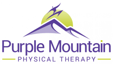 Purple Mountain Physical Therapy
